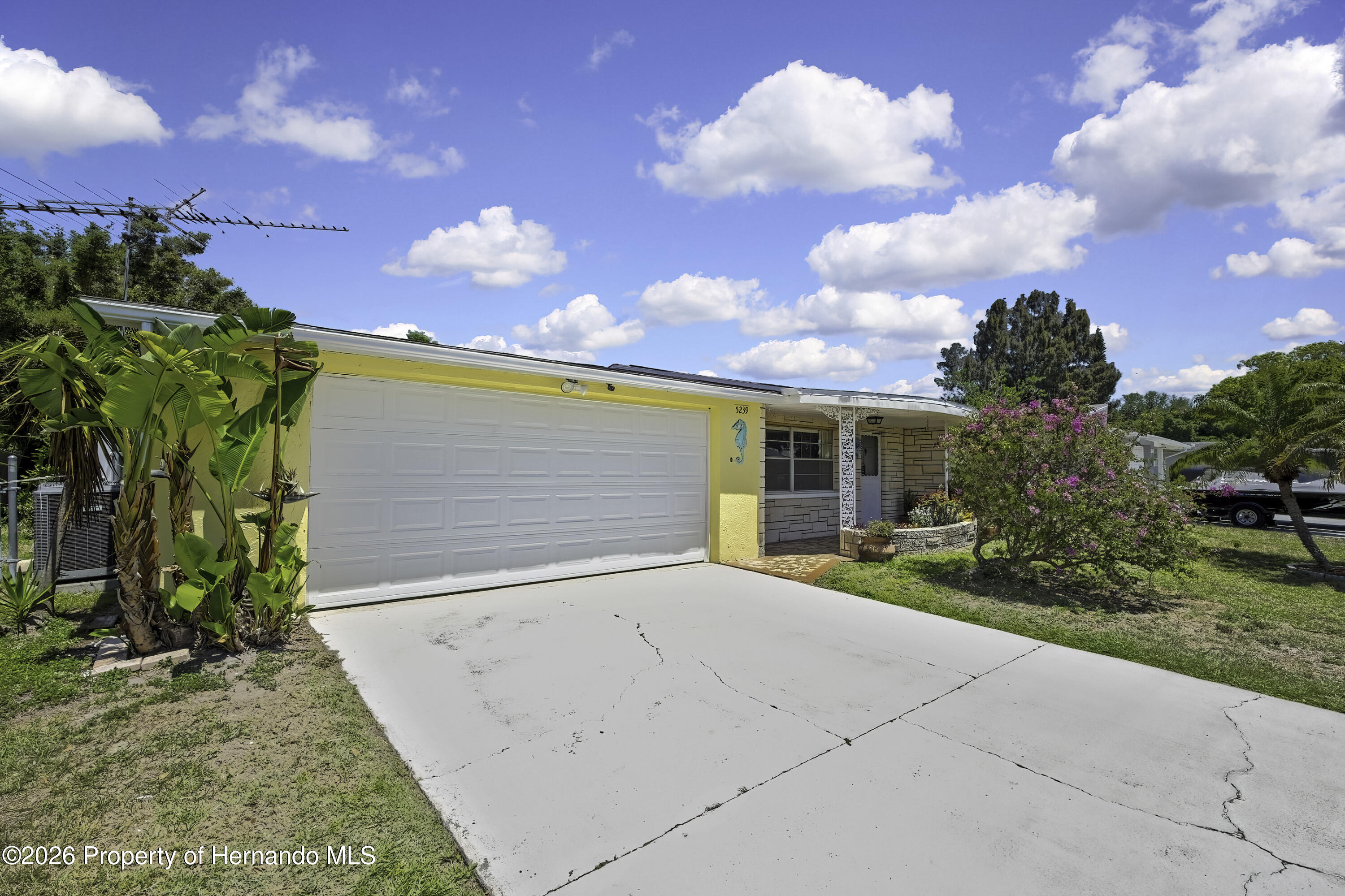 5239 Eagle Drive, Holiday, FL 34690 — photo 2
