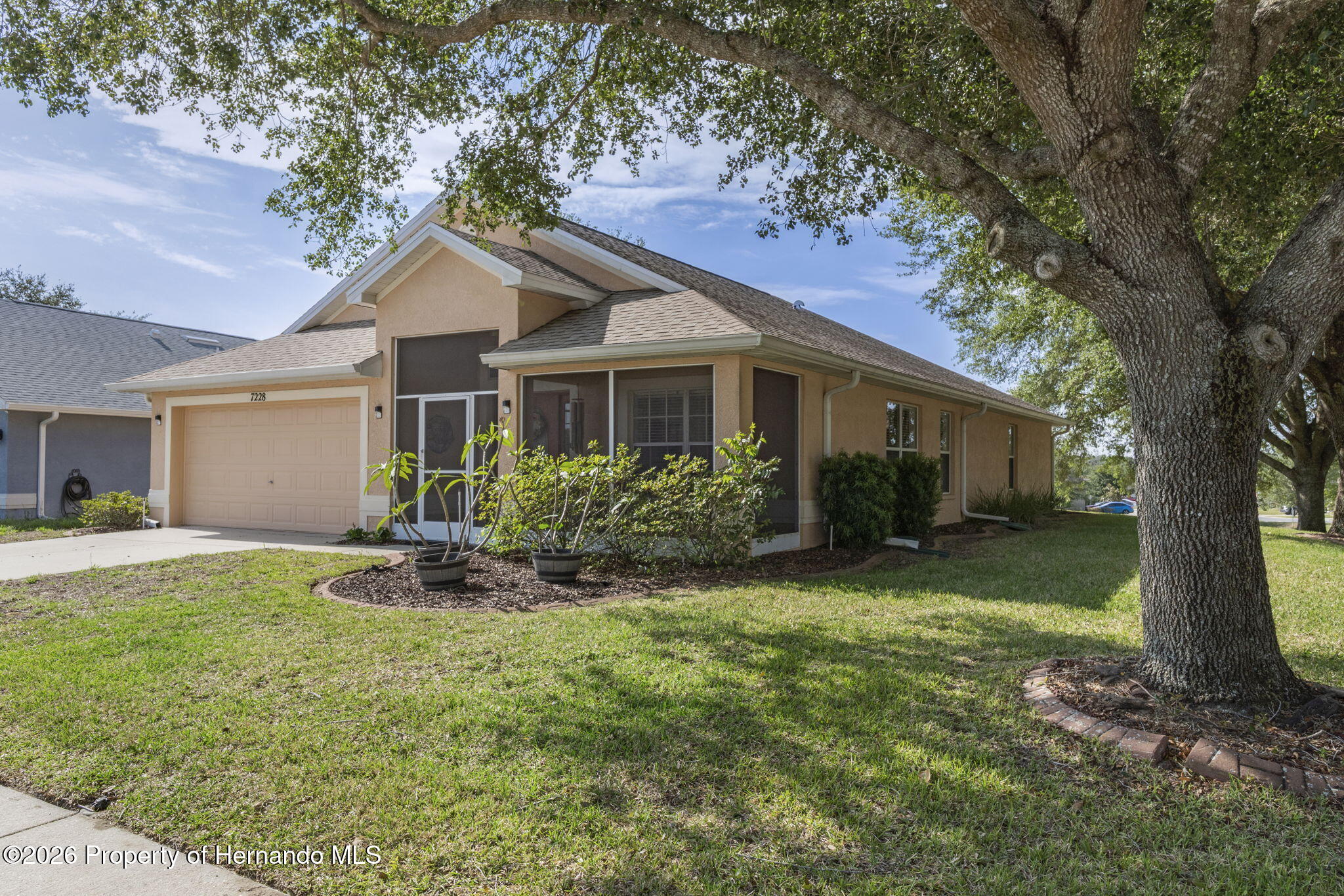 7228 Crested Orchid Drive — photo