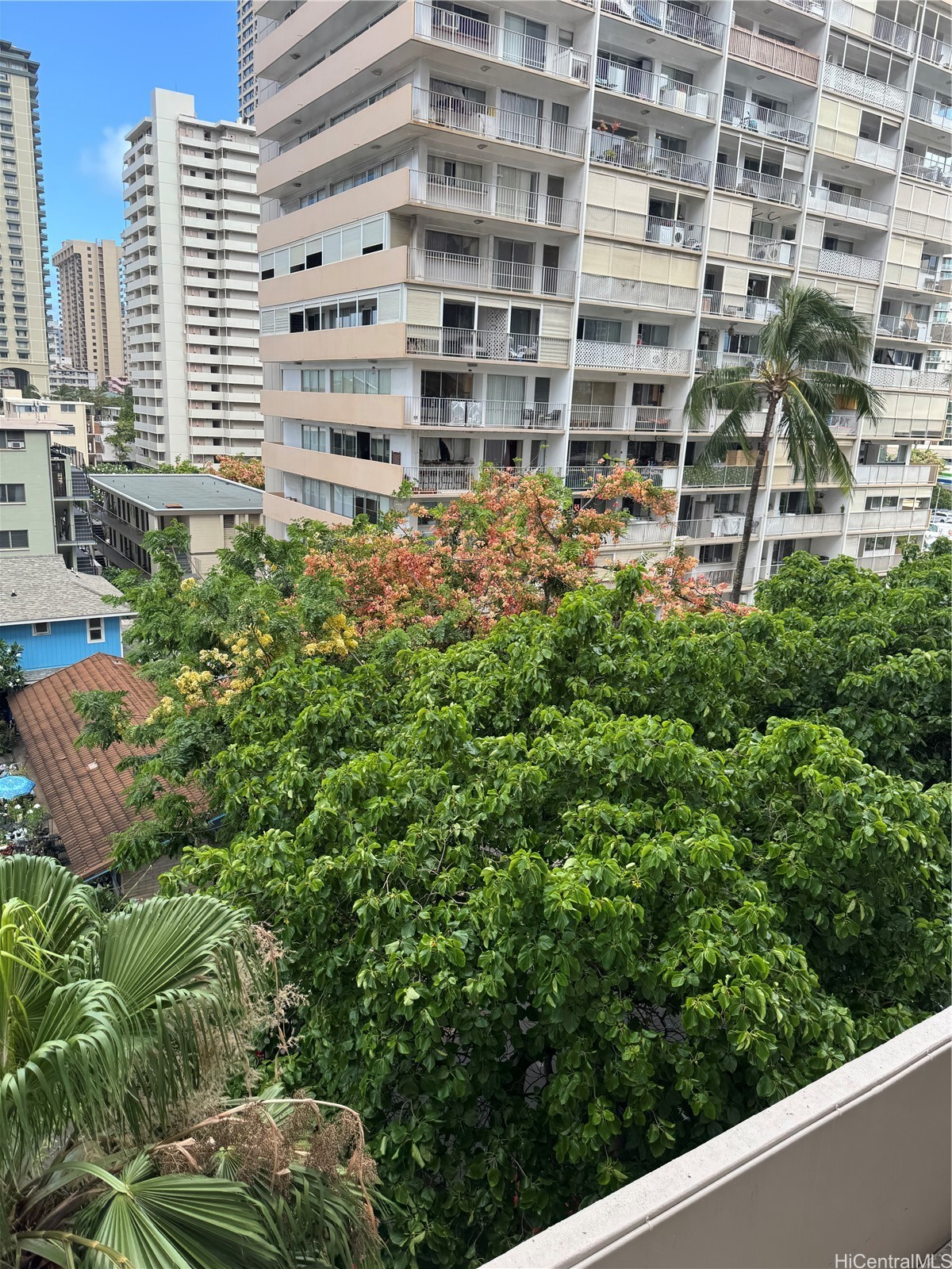 430 Keoniana Street 113 — photo