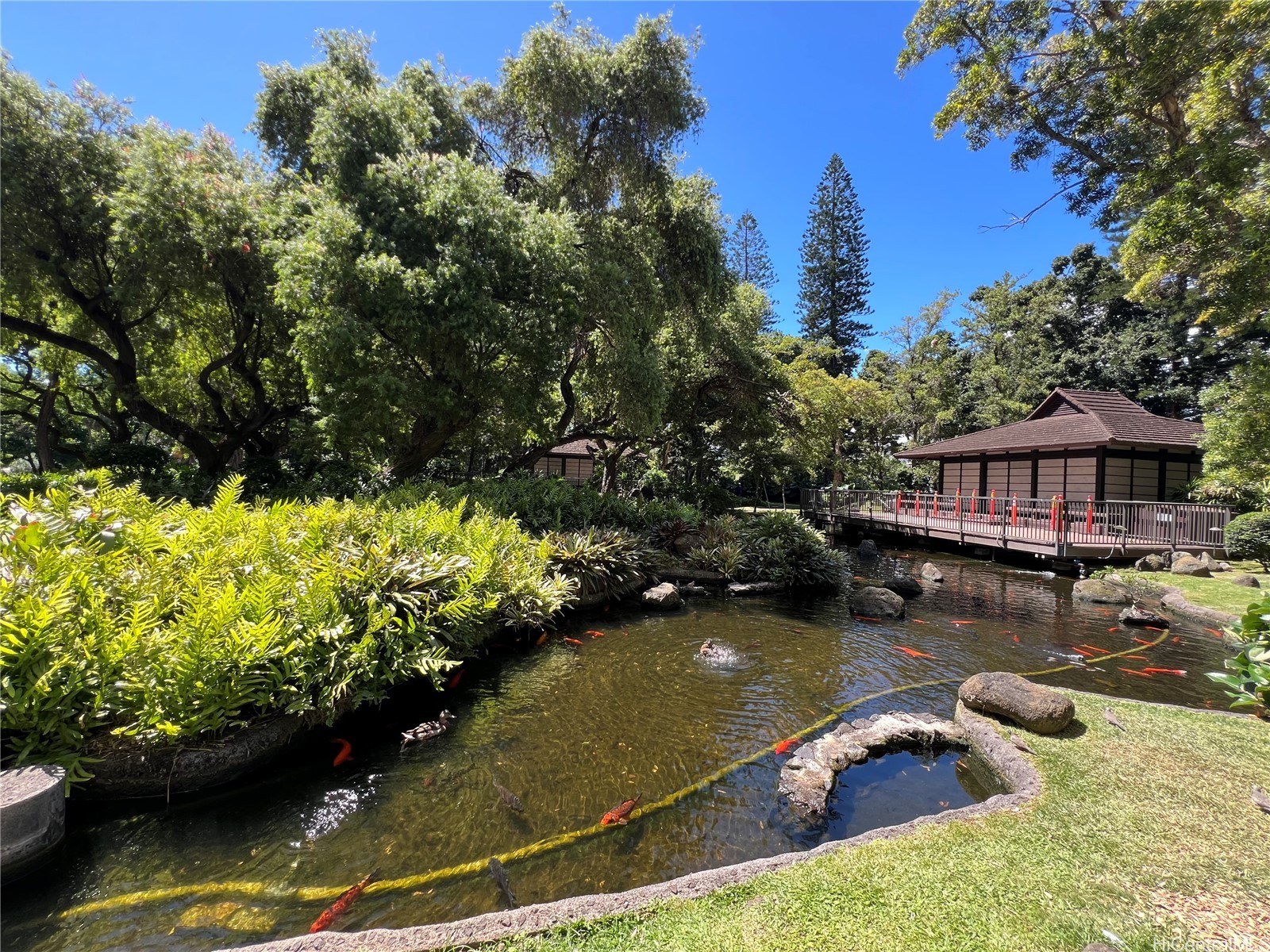 1511 Nuuanu Avenue 421 — photo