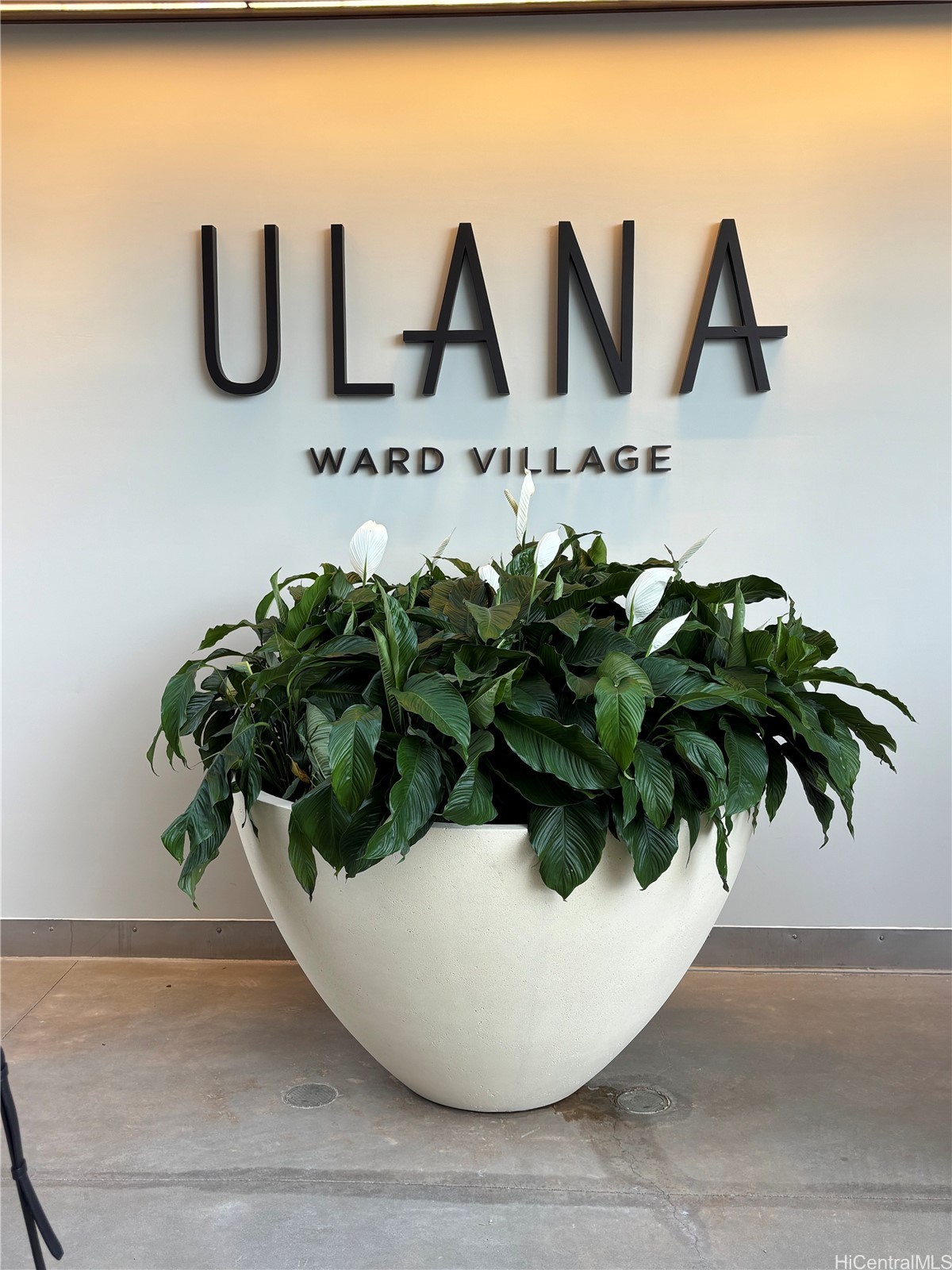 828 Auahi Street 3503 — photo
