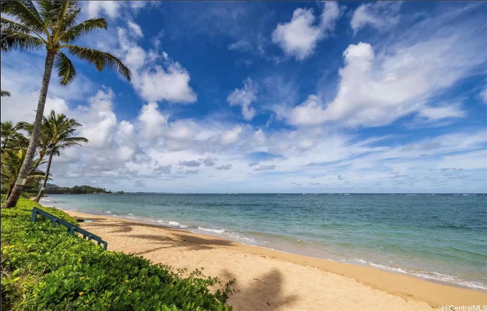 53-567 Kamehameha Highway Unit 204 — photo