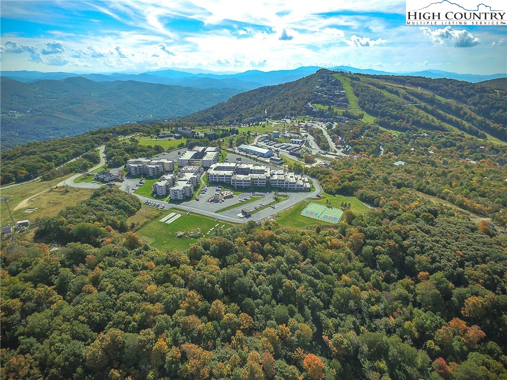 301 Pinnacle Inn Road 3115 — photo