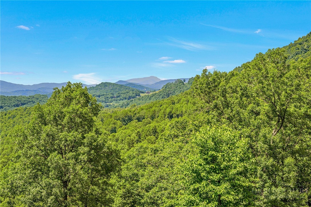 527 Tomahawk Drive, Todd, NC 28684 — photo 2