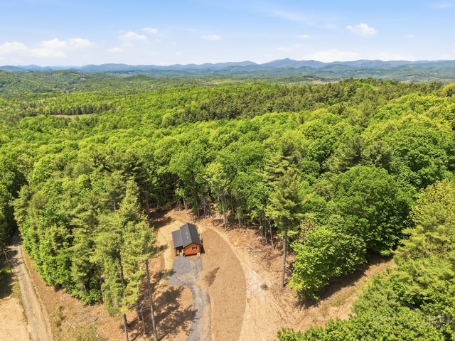 387 Tree Top Circle — photo