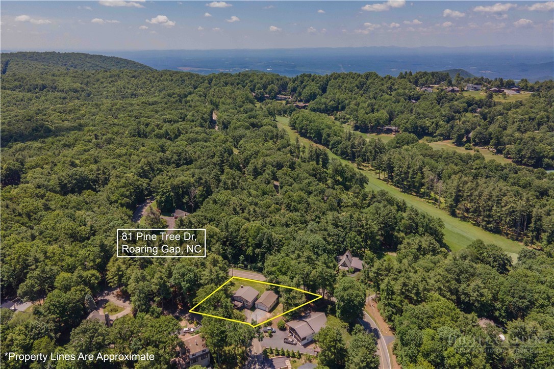 81 Pine Tree Drive, Roaring Gap, NC 28668 — photo 3