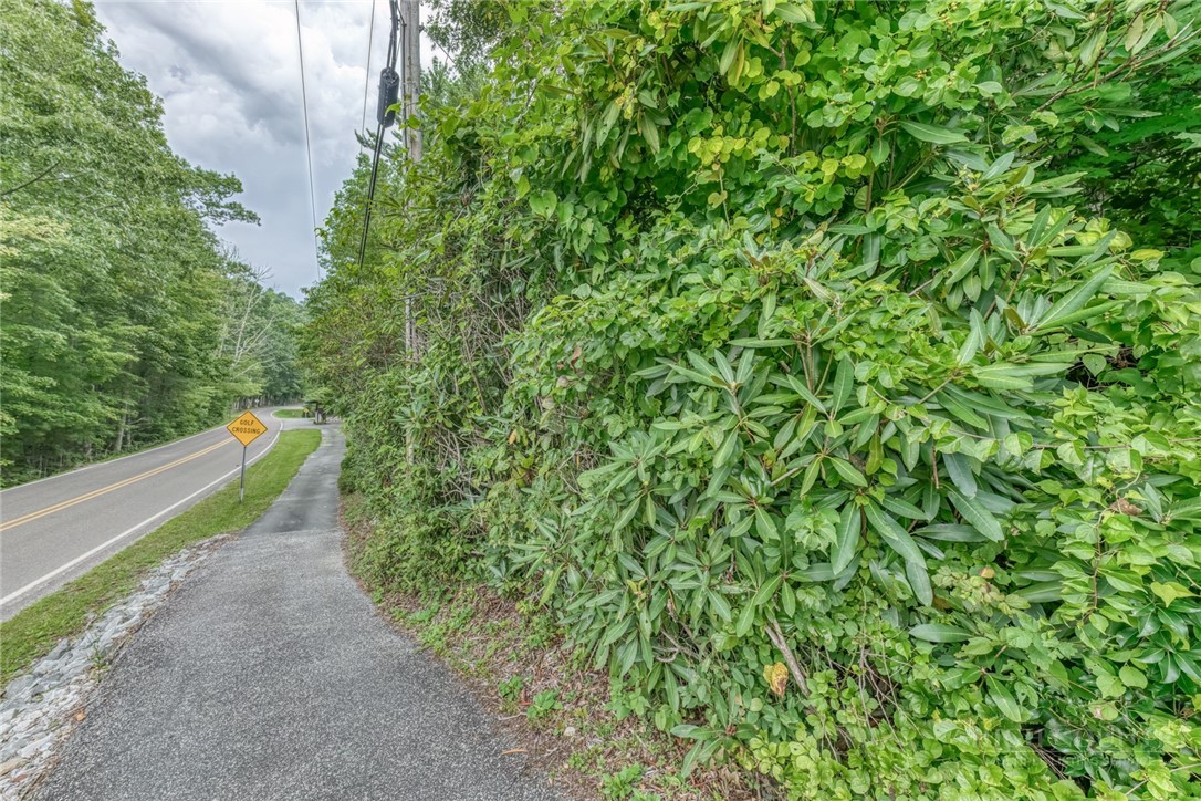 163 Elderberry Loop, Newland, NC 28657 — photo 2