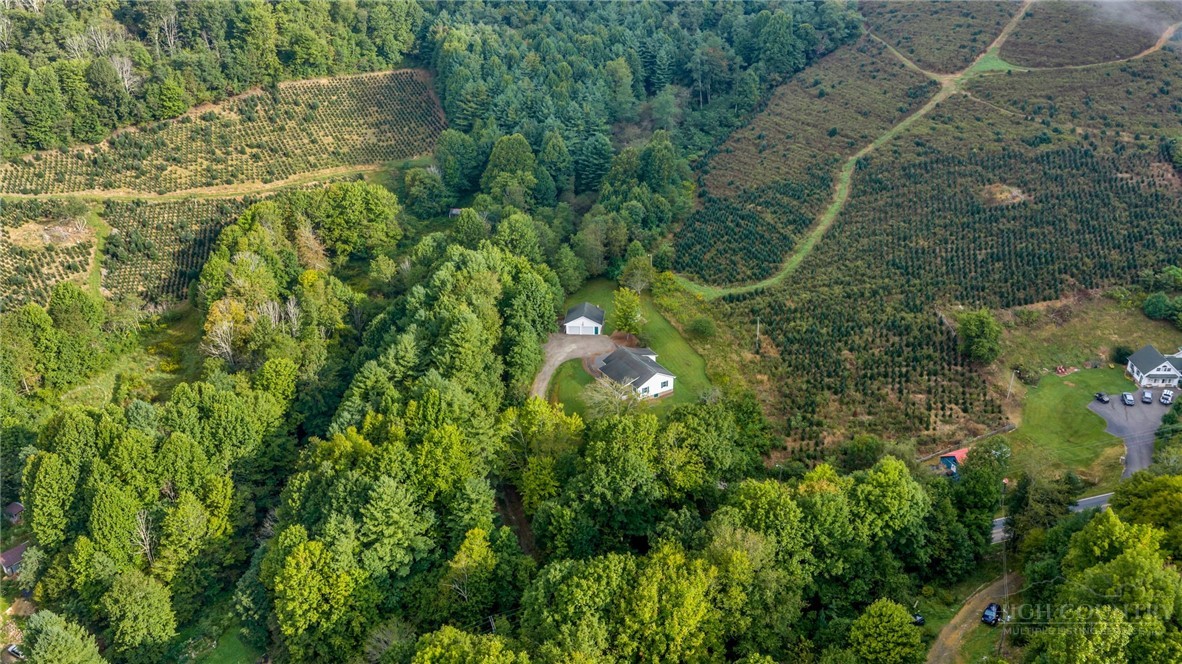 3115 Roaring Fork, Creston, NC 28615 — photo 2