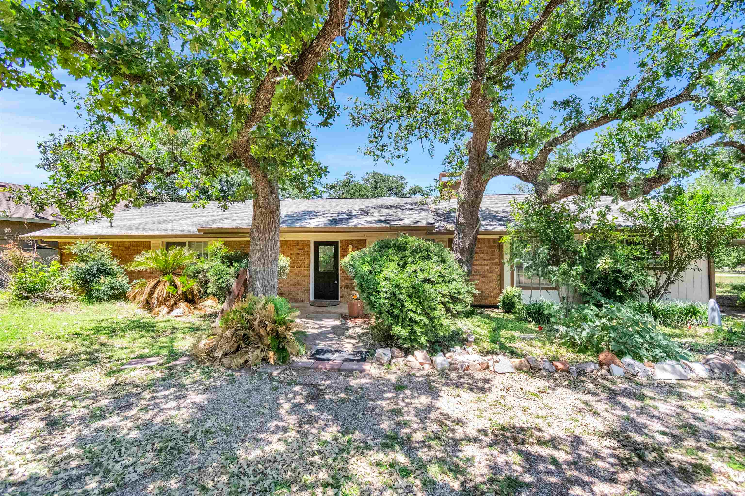 105 Agarita — photo