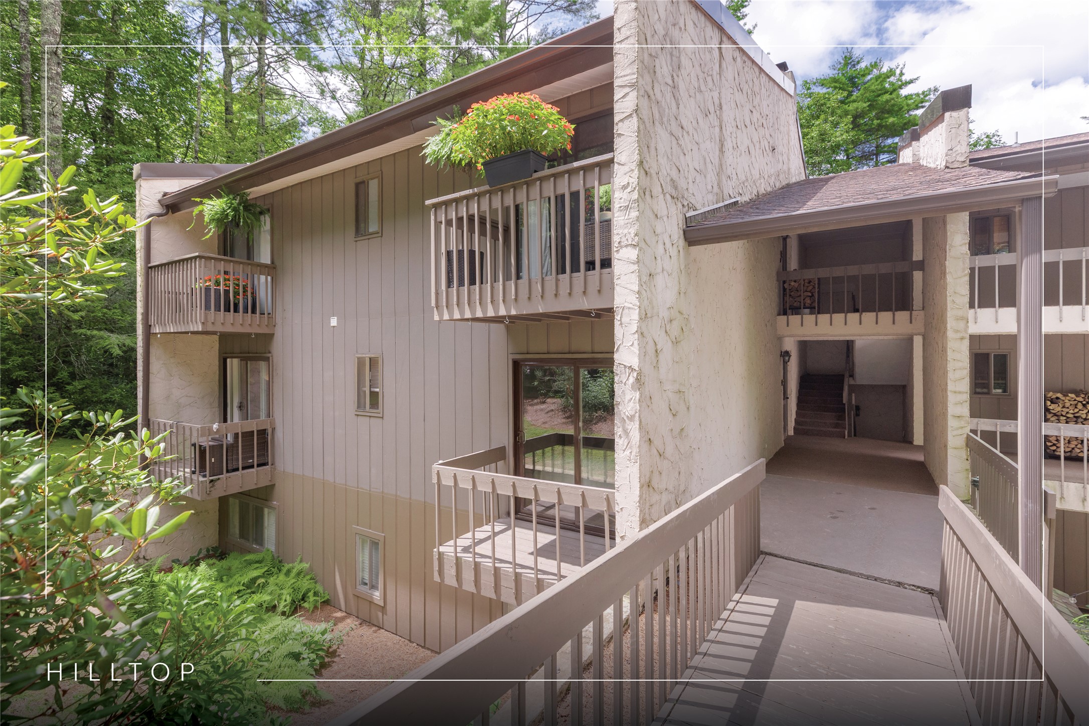 98 Dogwood Knob 25-2a — photo