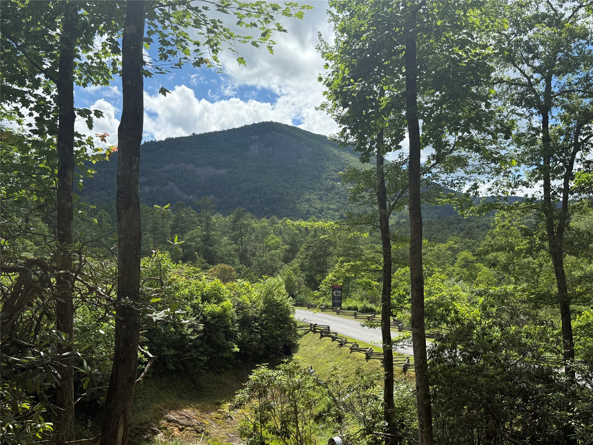 75 Cats Eye Run — photo