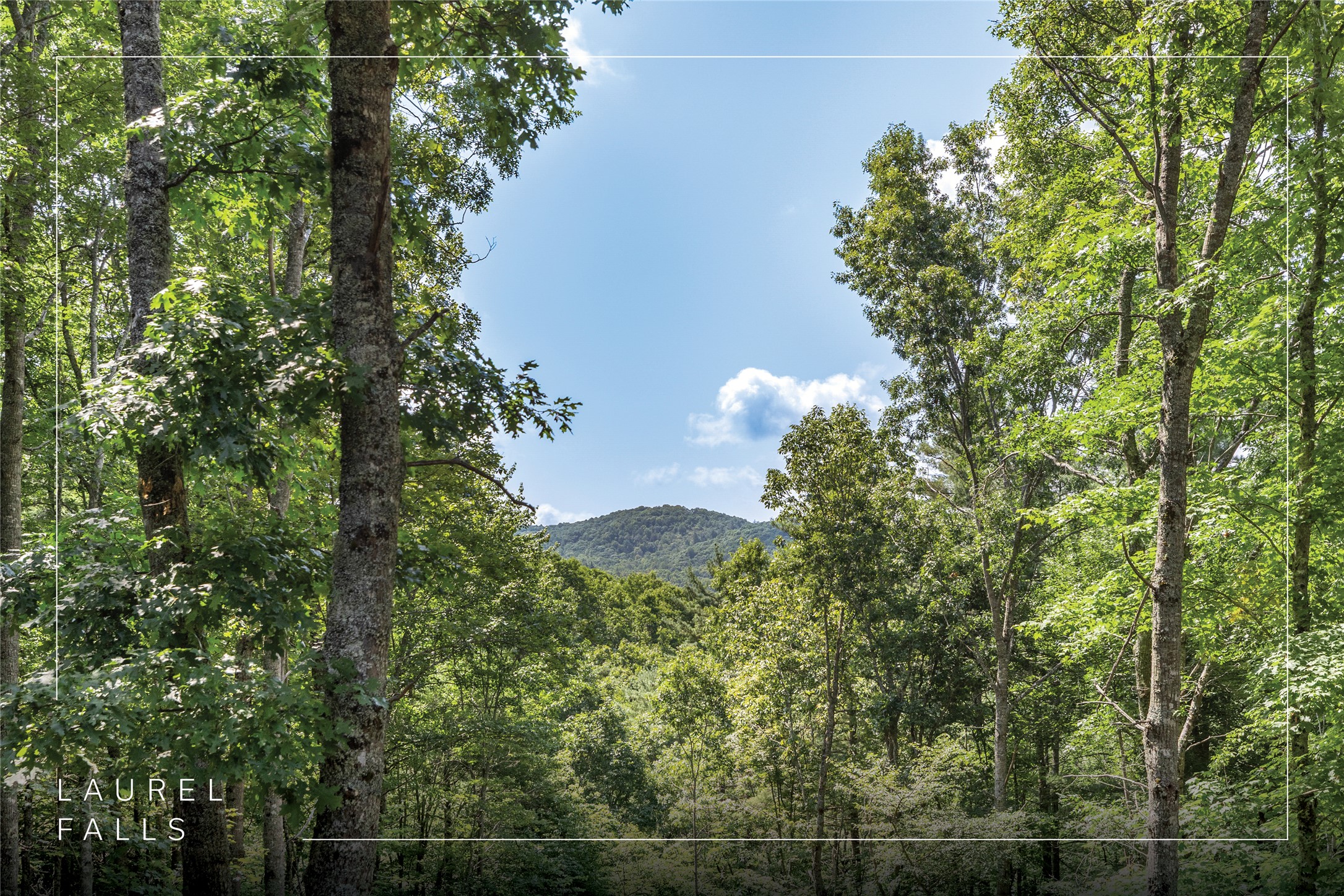 122 Forestdale Drive — photo