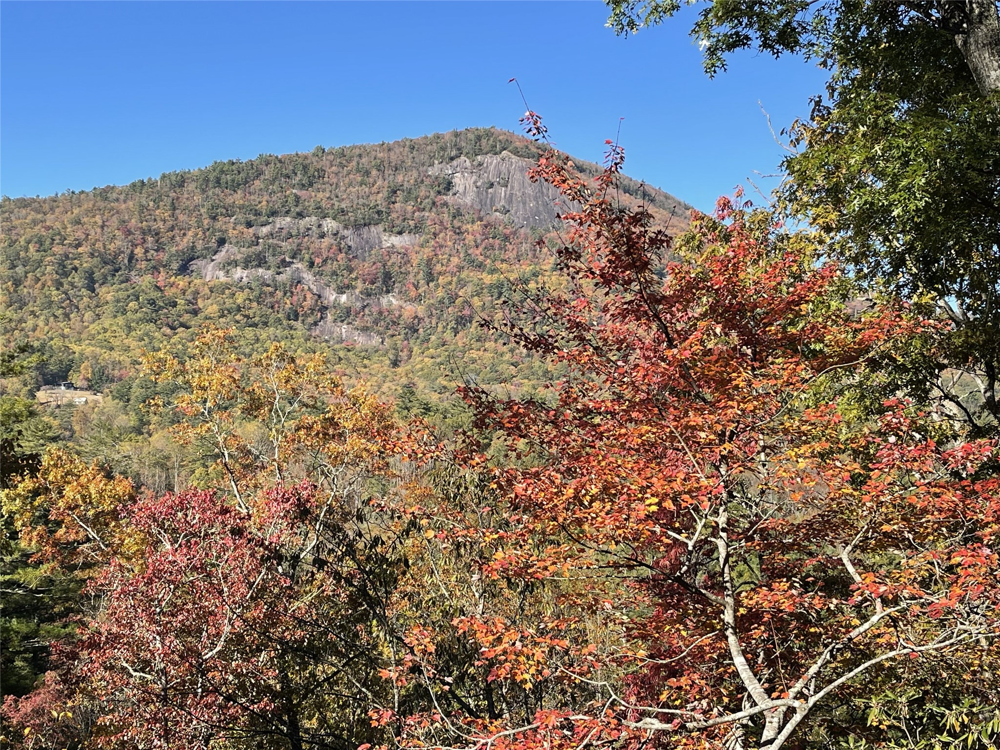 226 Rock Face Trail — photo