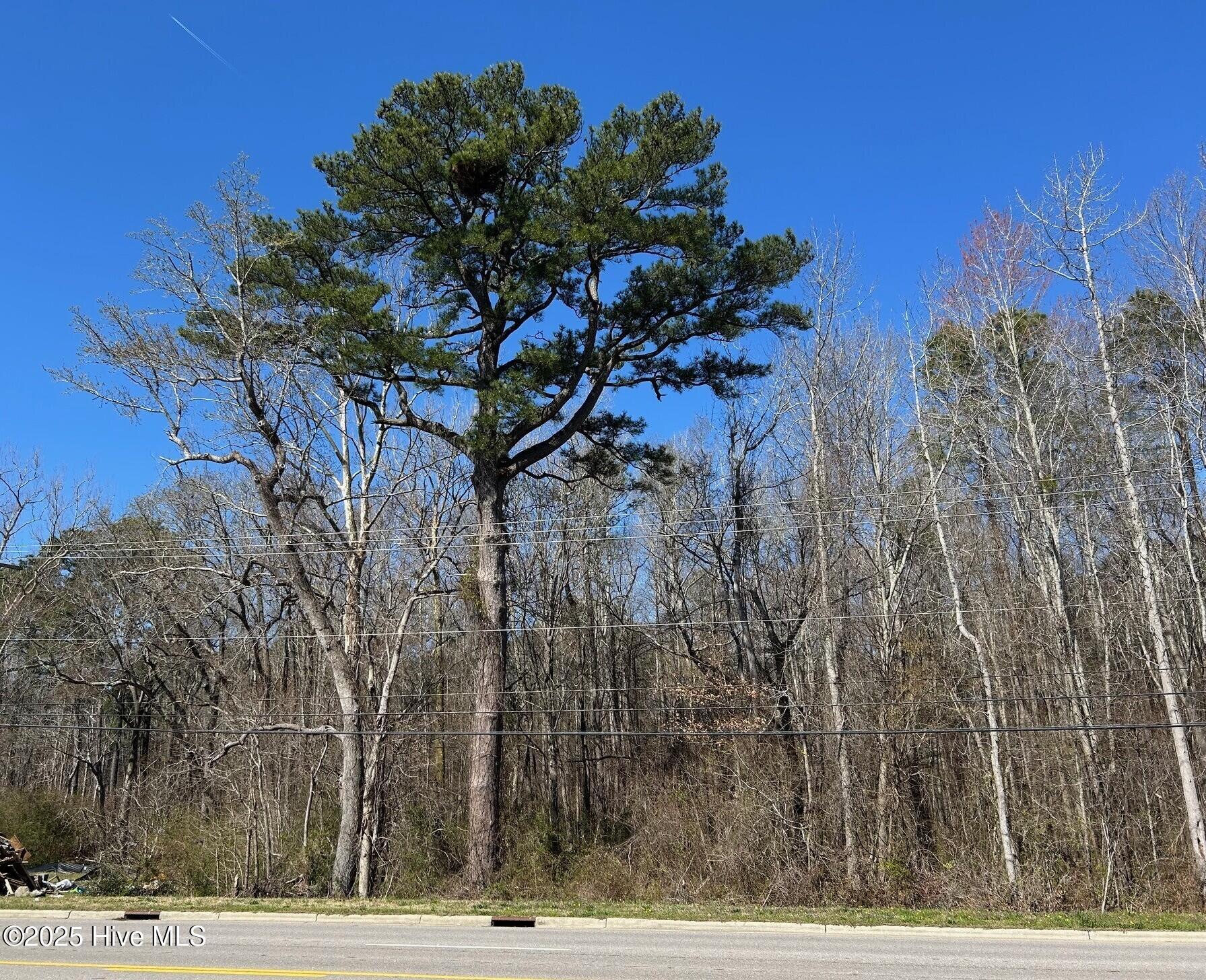 Home in Camden, NC 27921 — photo 3
