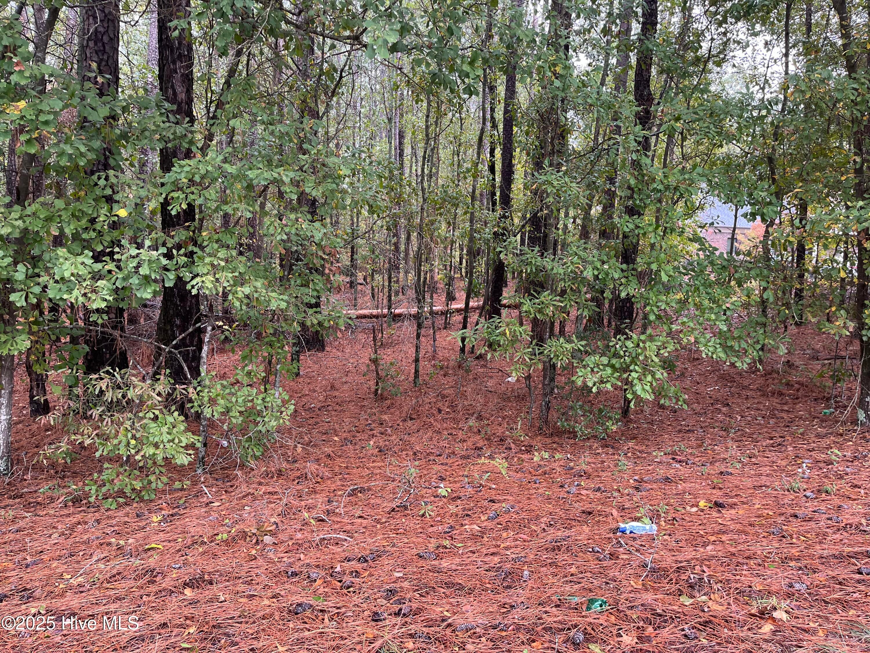 108 Medical Circle, Rockingham, NC 28379 — photo 2
