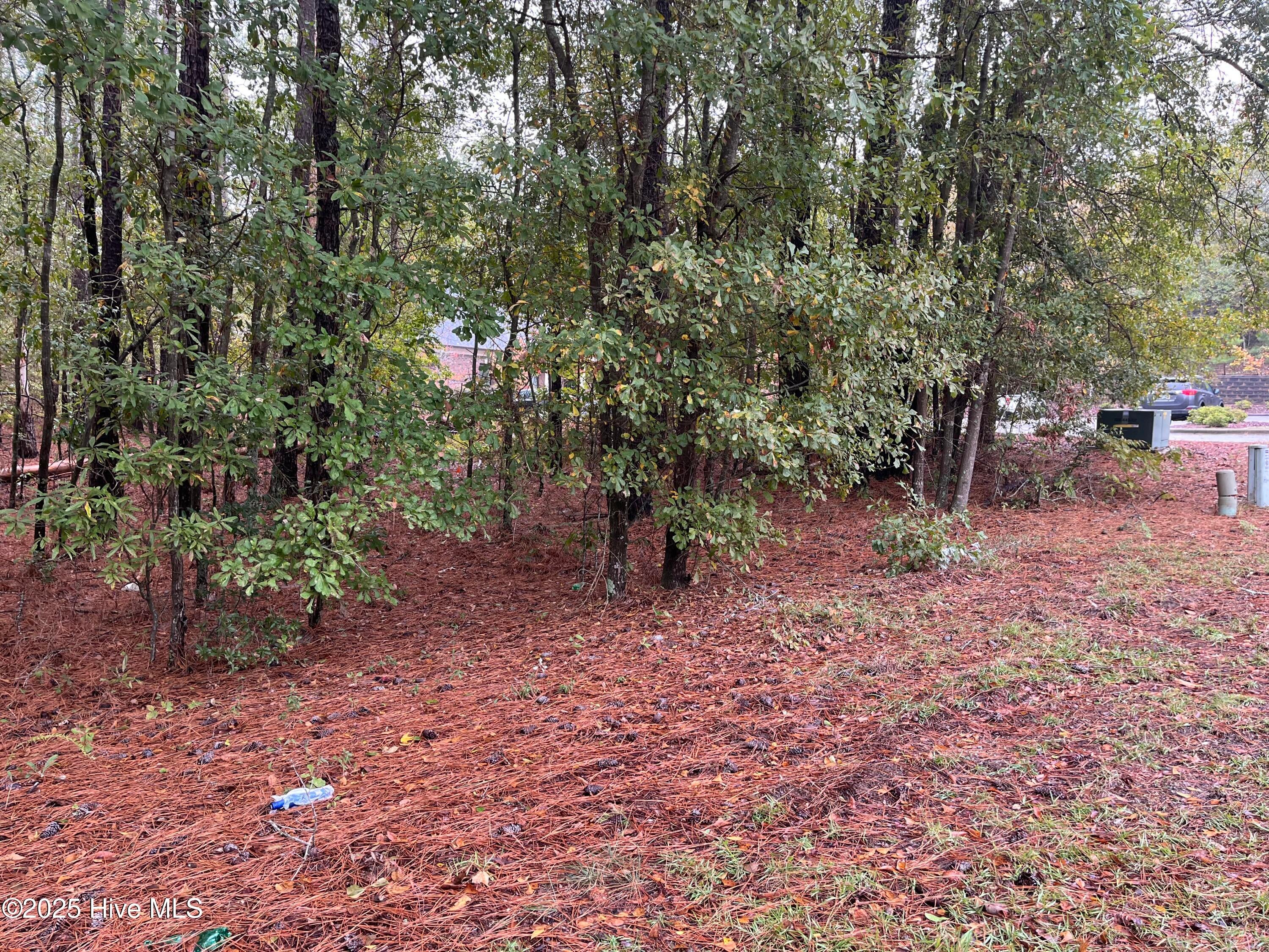 108 Medical Circle, Rockingham, NC 28379 — photo 3