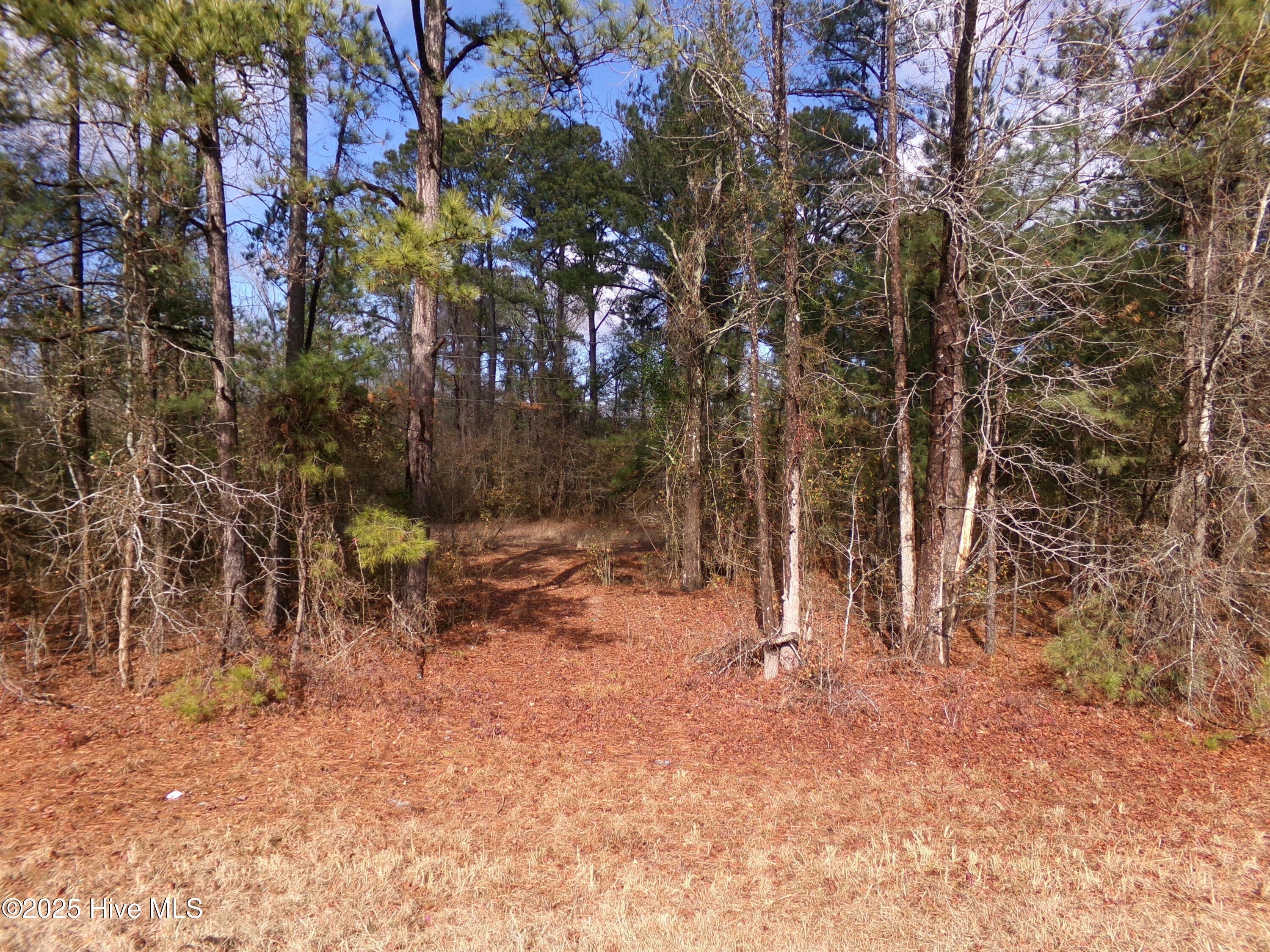 Near 273 Kenric Road — photo