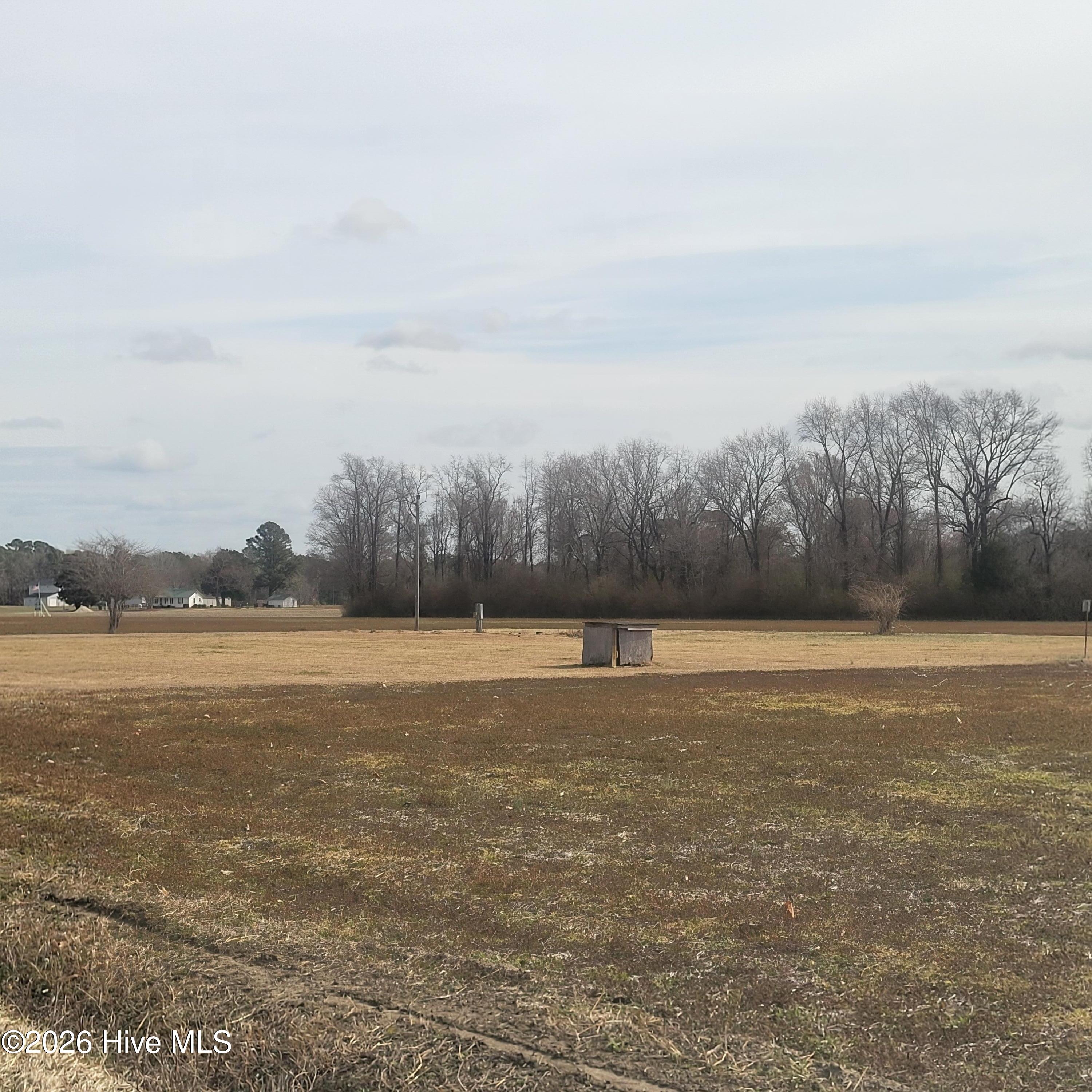 Home in Willard, NC 28478 — photo 2