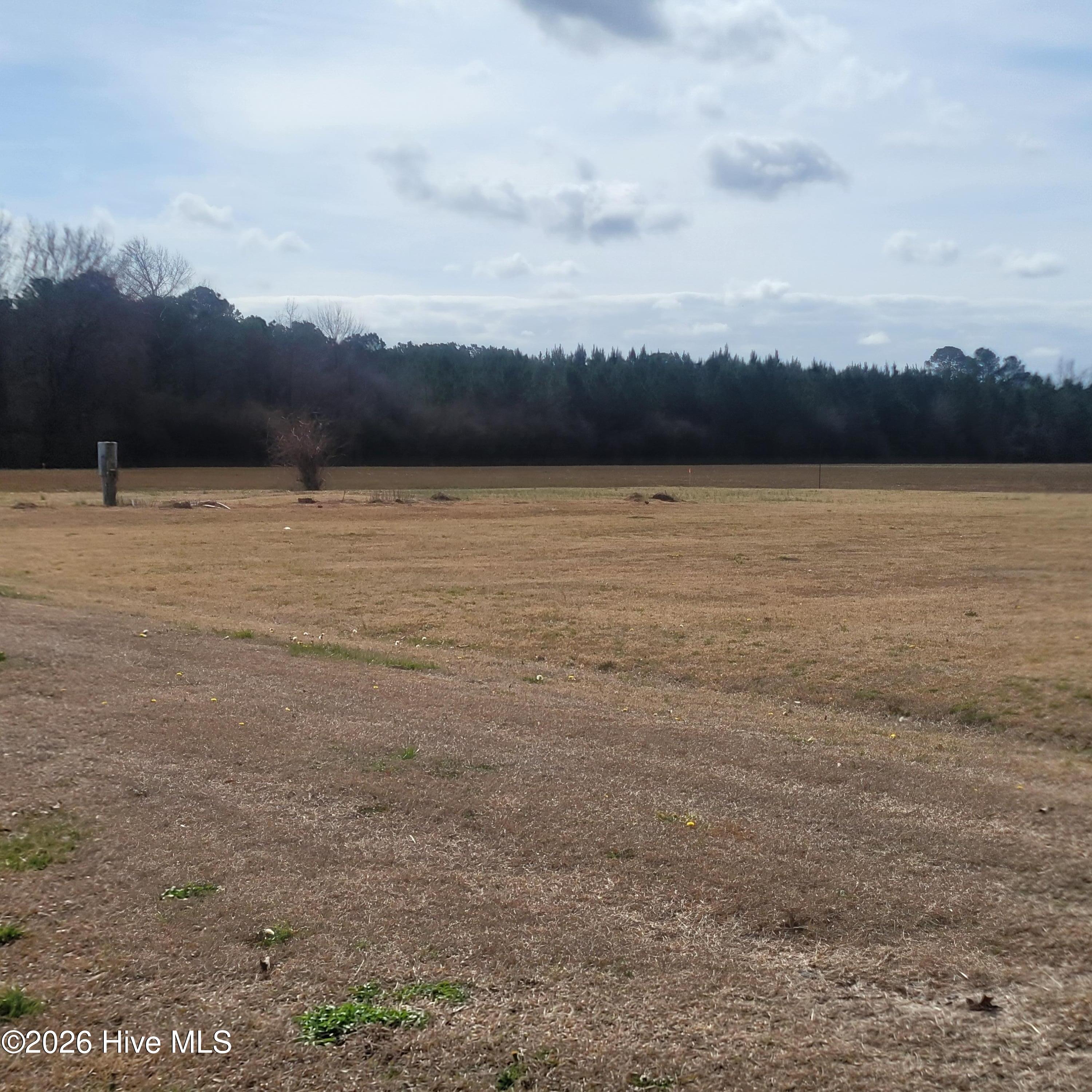 Home in Willard, NC 28478 — photo 3