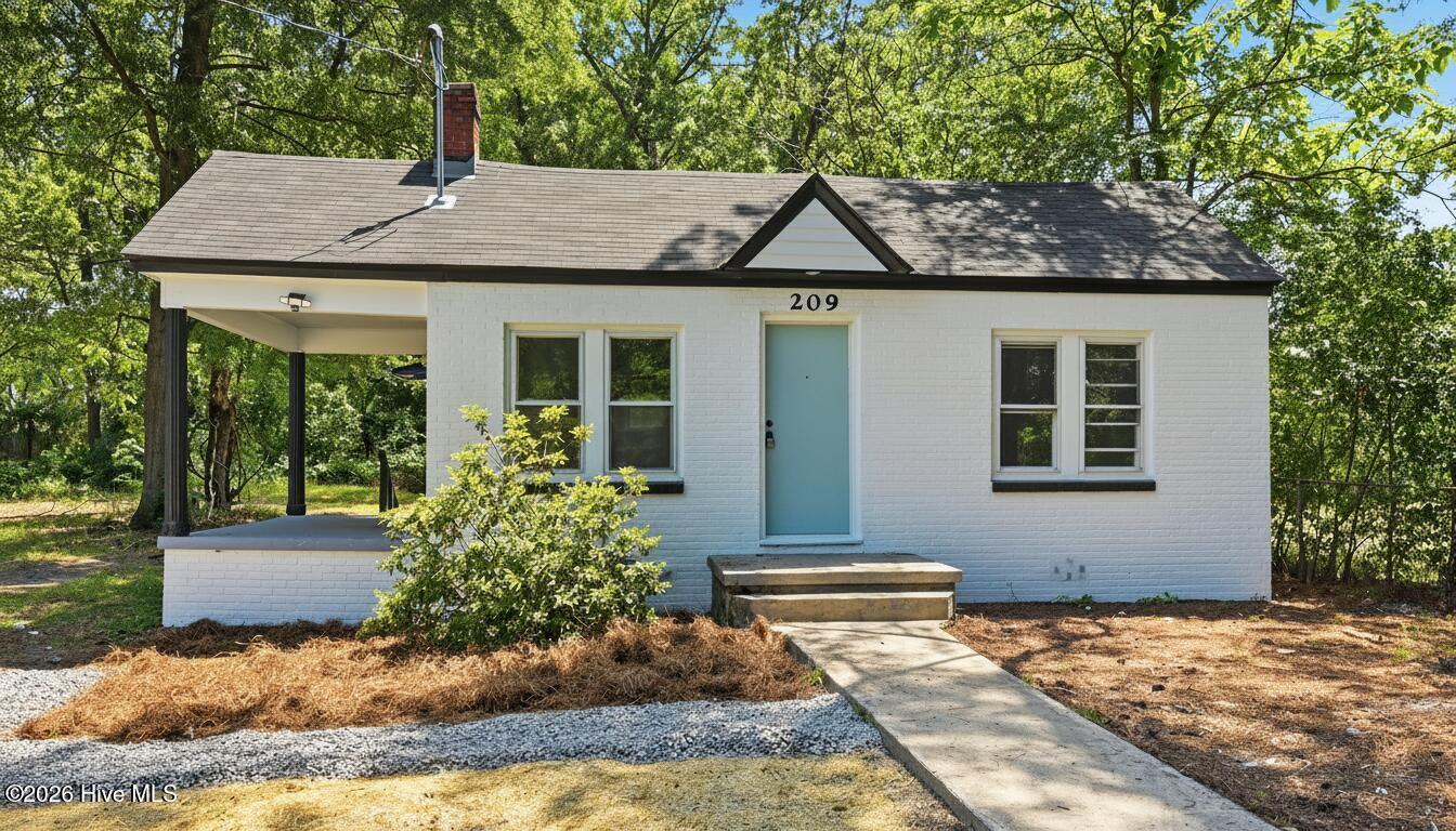 209 Hendricks Street — photo