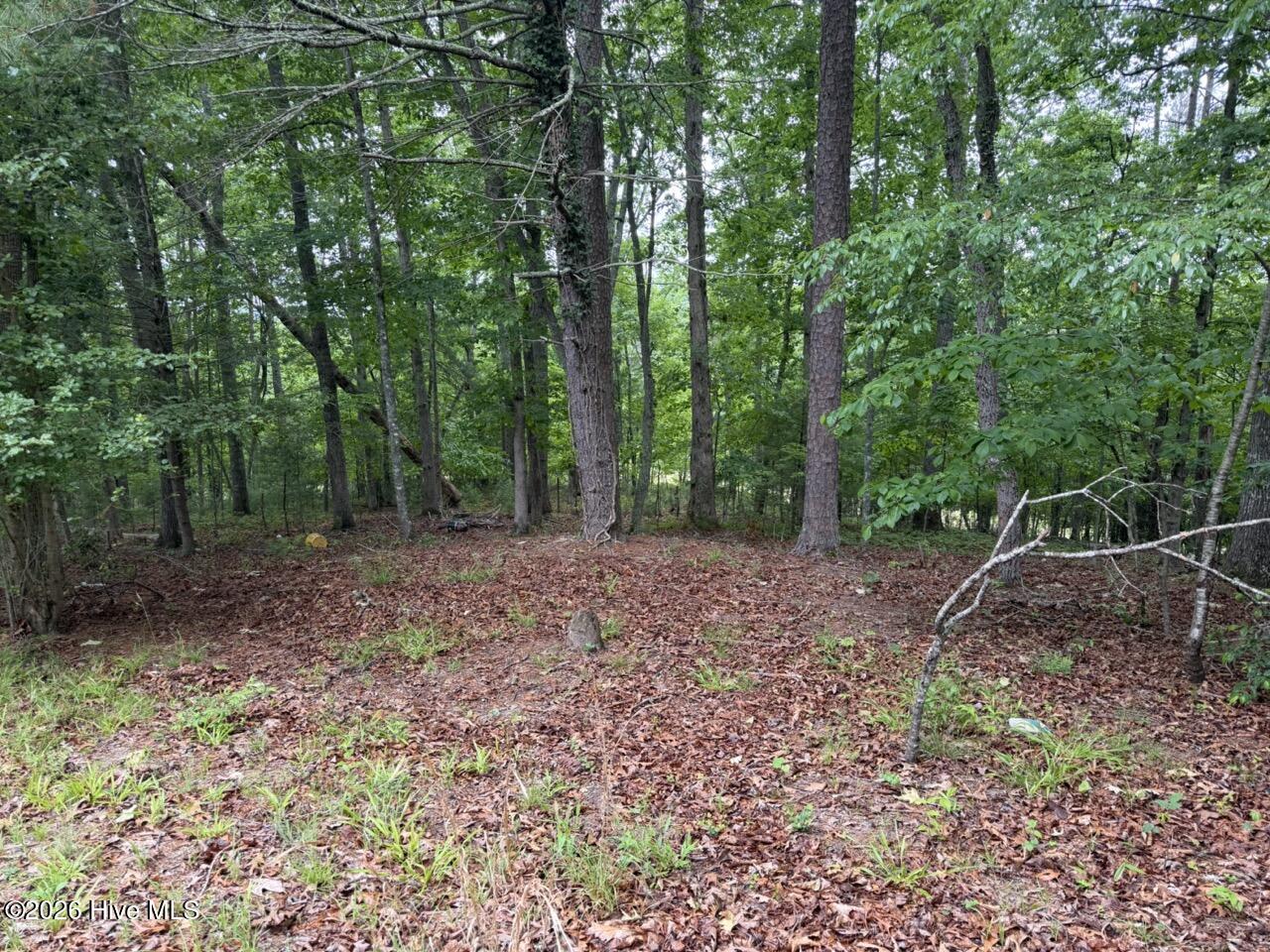 274 Snow Hill Ridge Road — photo