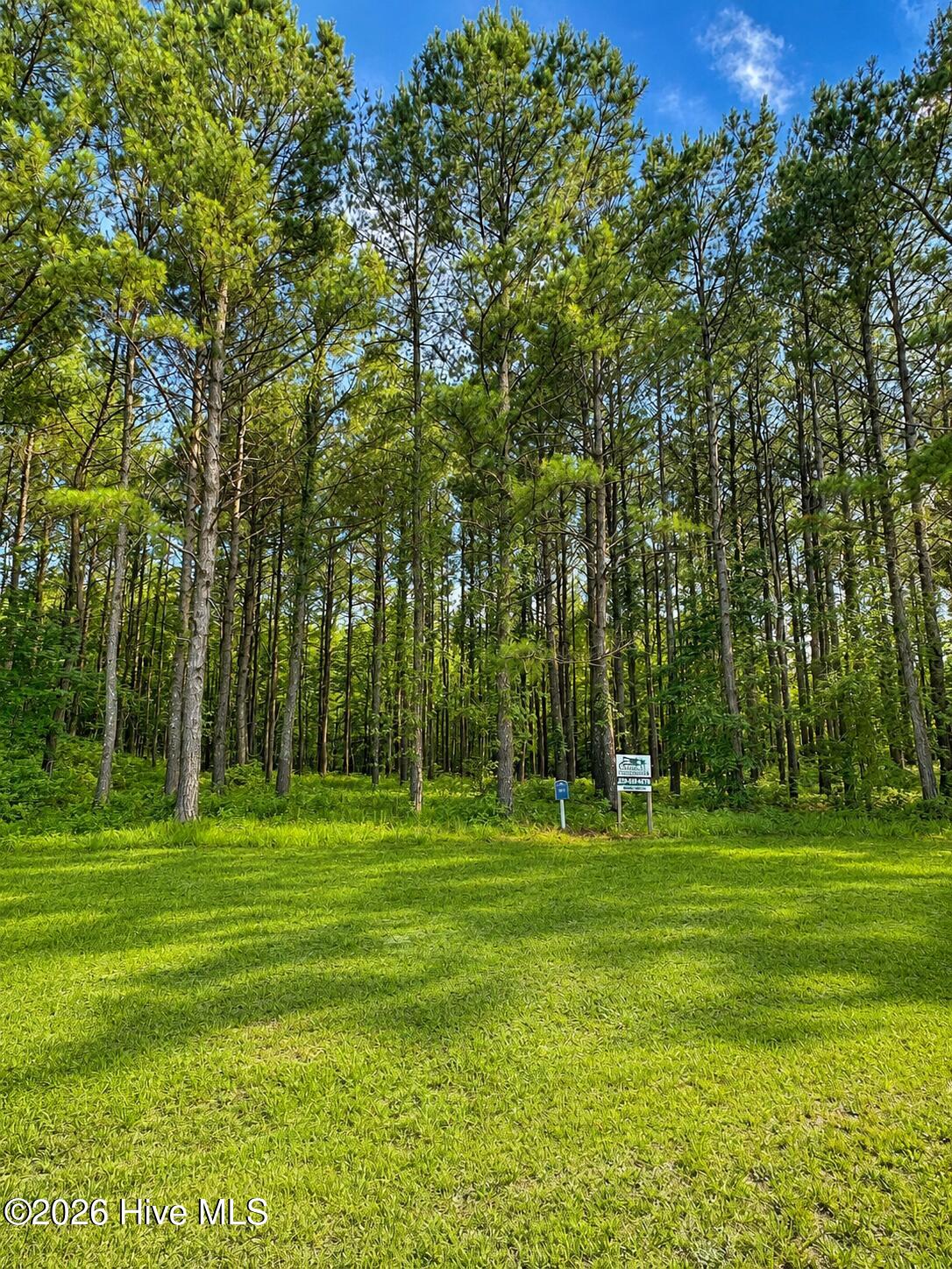 117 163 Colleton Circle, Edenton, NC 27932