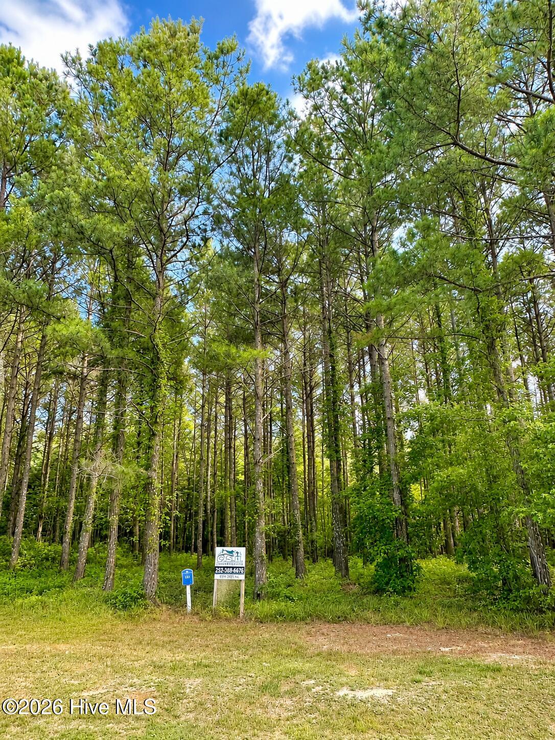 117 163 Colleton Circle, Edenton, NC 27932 — photo 2