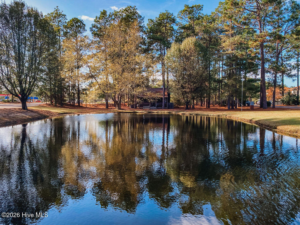 20 Dowd Circle, Pinehurst, NC 28374 — photo 2