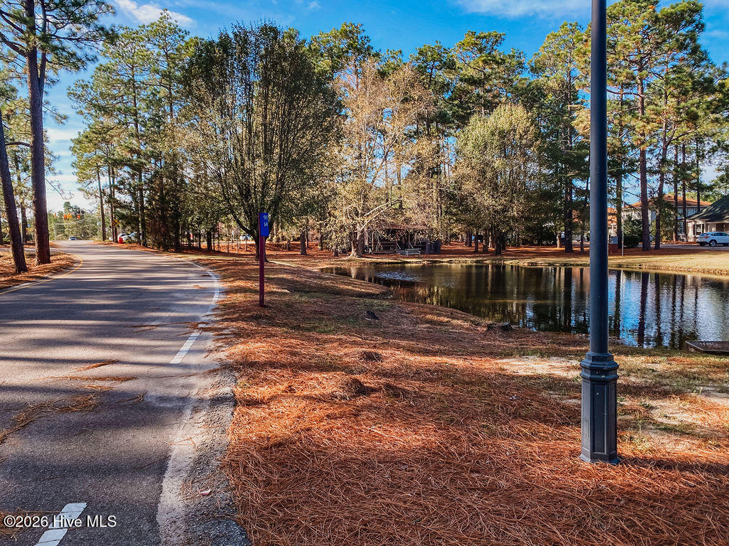20 Dowd Circle, Pinehurst, NC 28374 — photo 3