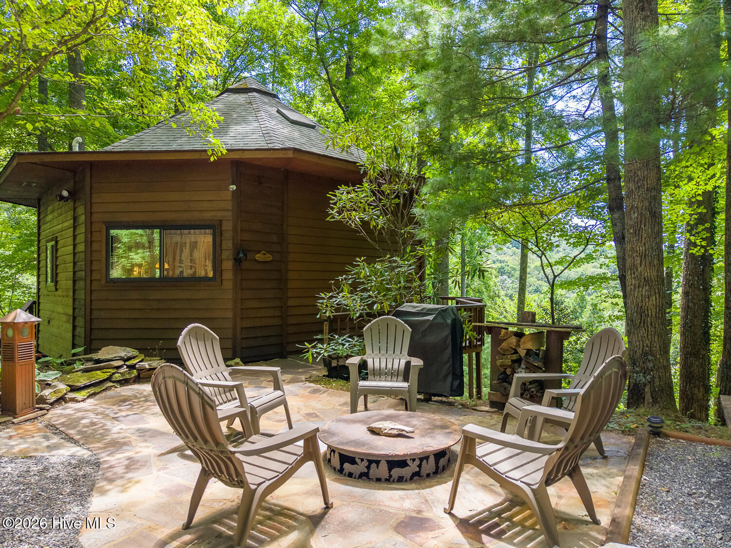204 Mountain Laurel Drive — photo