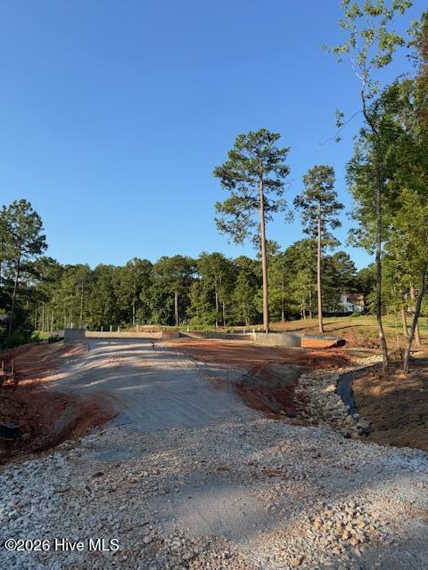 203 Course View — photo