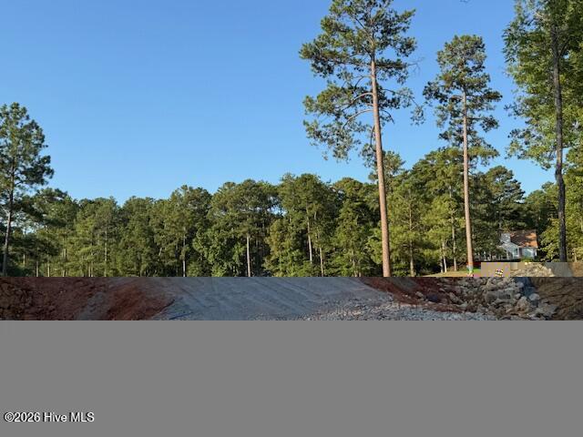 203 Course View, McCormick, SC 29835 — photo 3