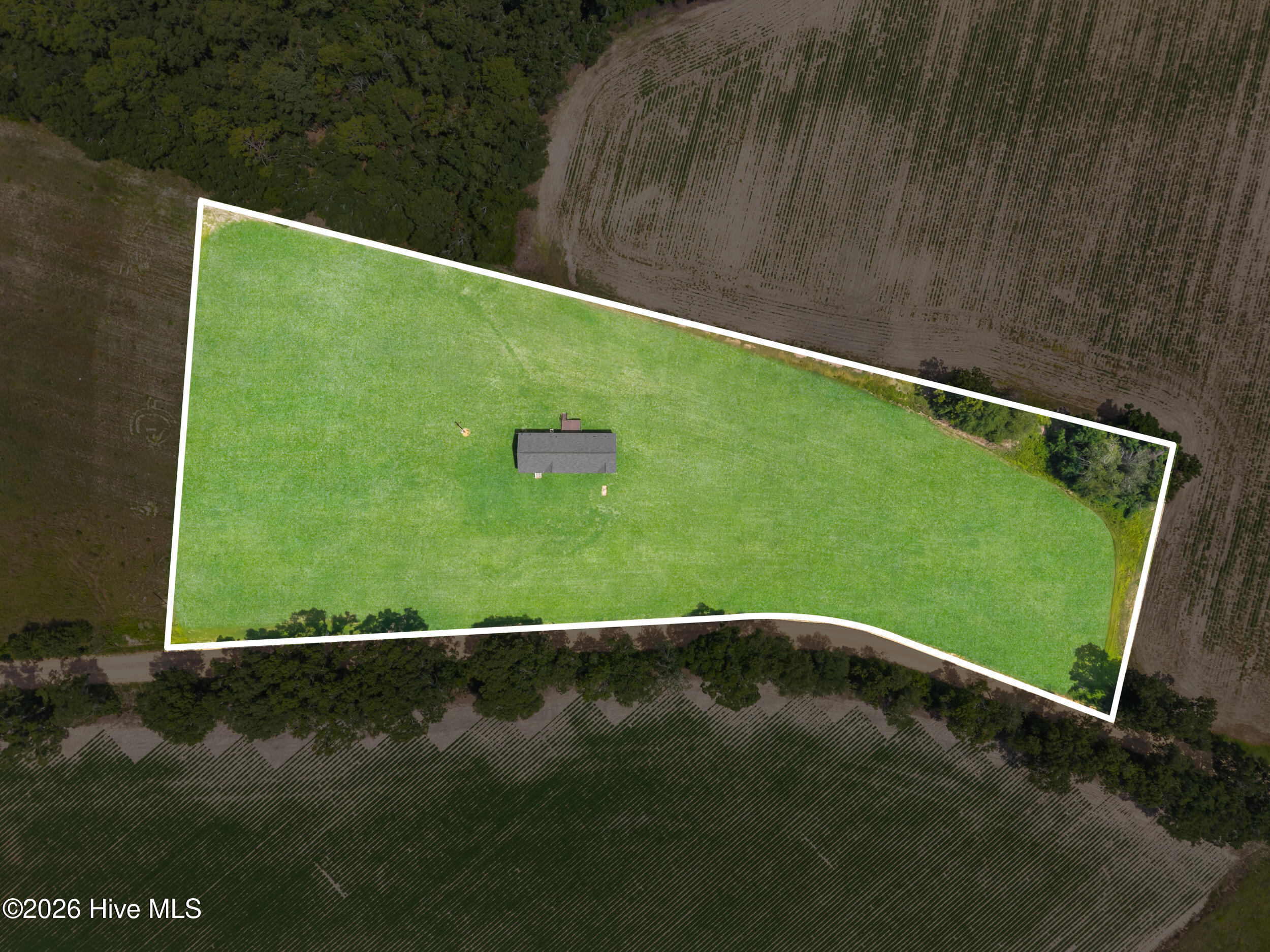 562 Sinkhole Road, Register, GA 30452 — photo 3