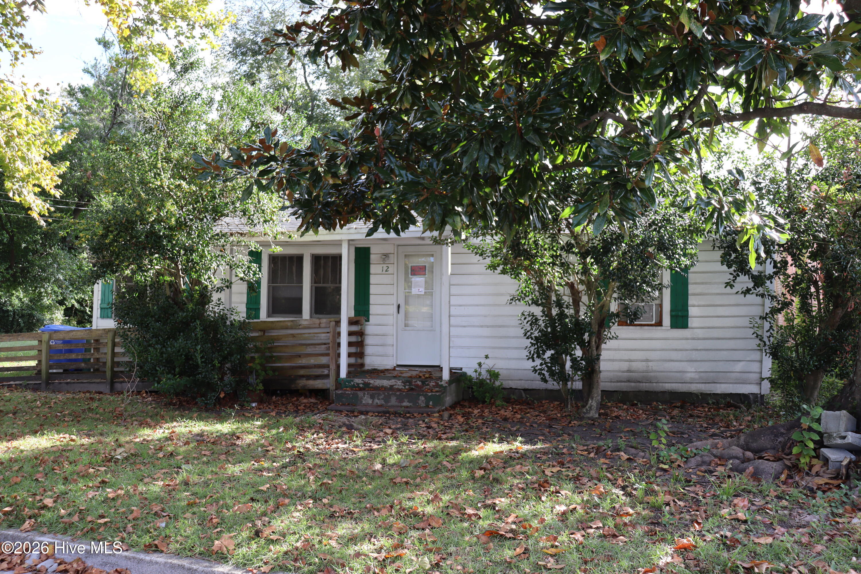 12 Evans Street — photo