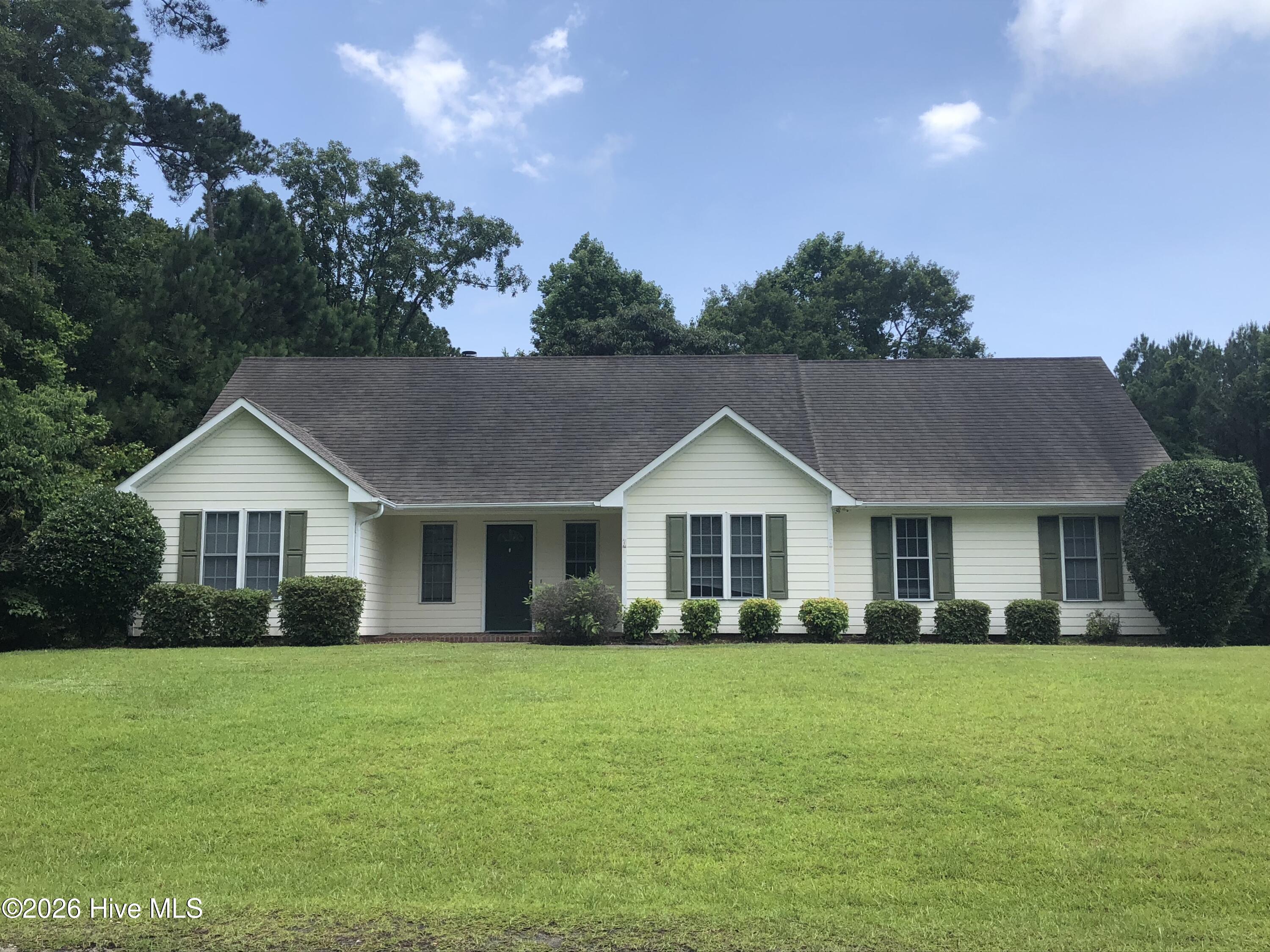 415 Celtic Ash Street — photo