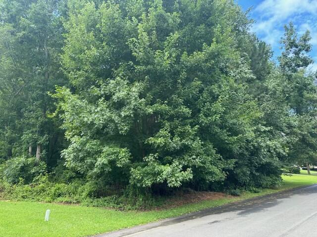 300 E Martintown Road — photo