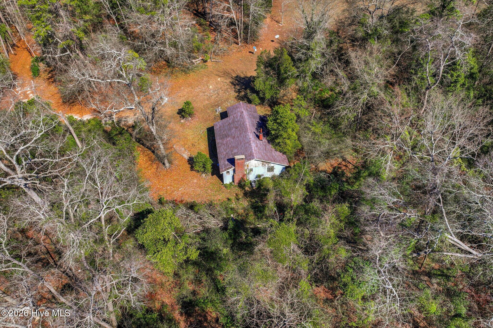 1081 Bamboo Lane — photo