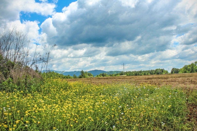 00 Highway 64 East — photo