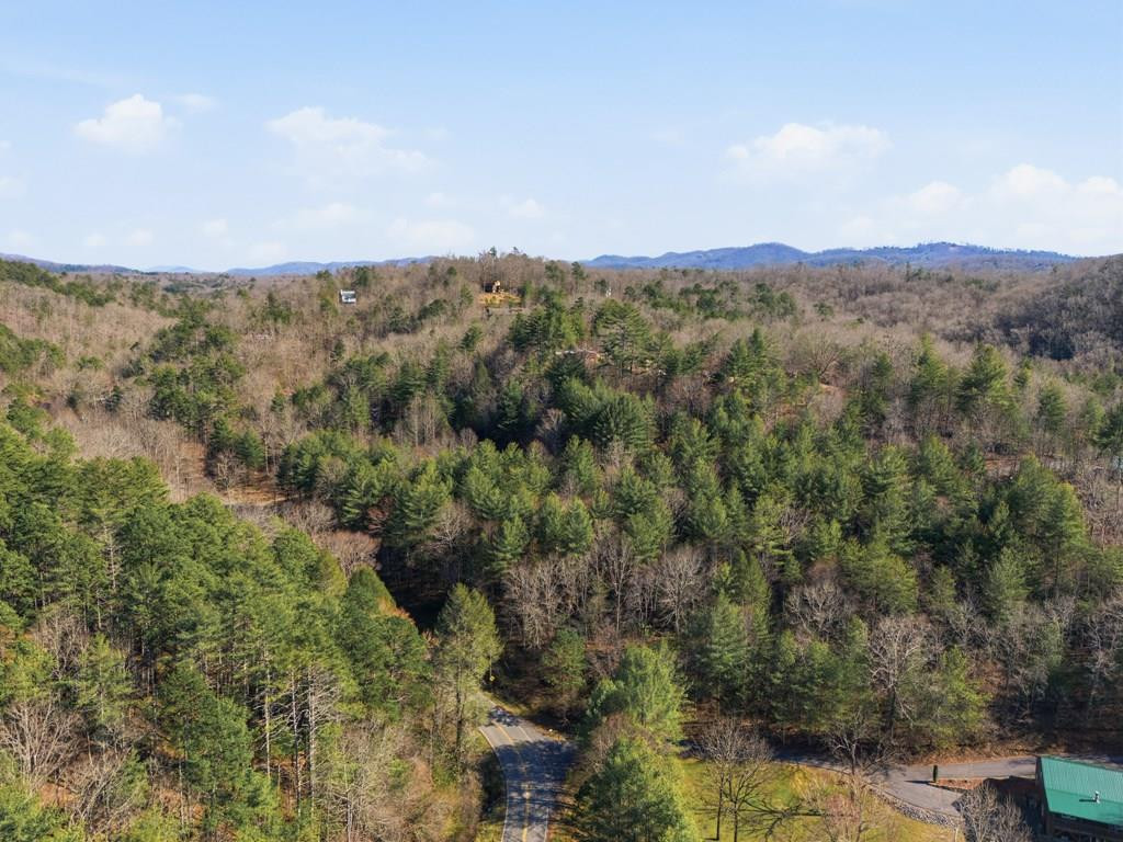 115 Crowe Mountain Lane — photo