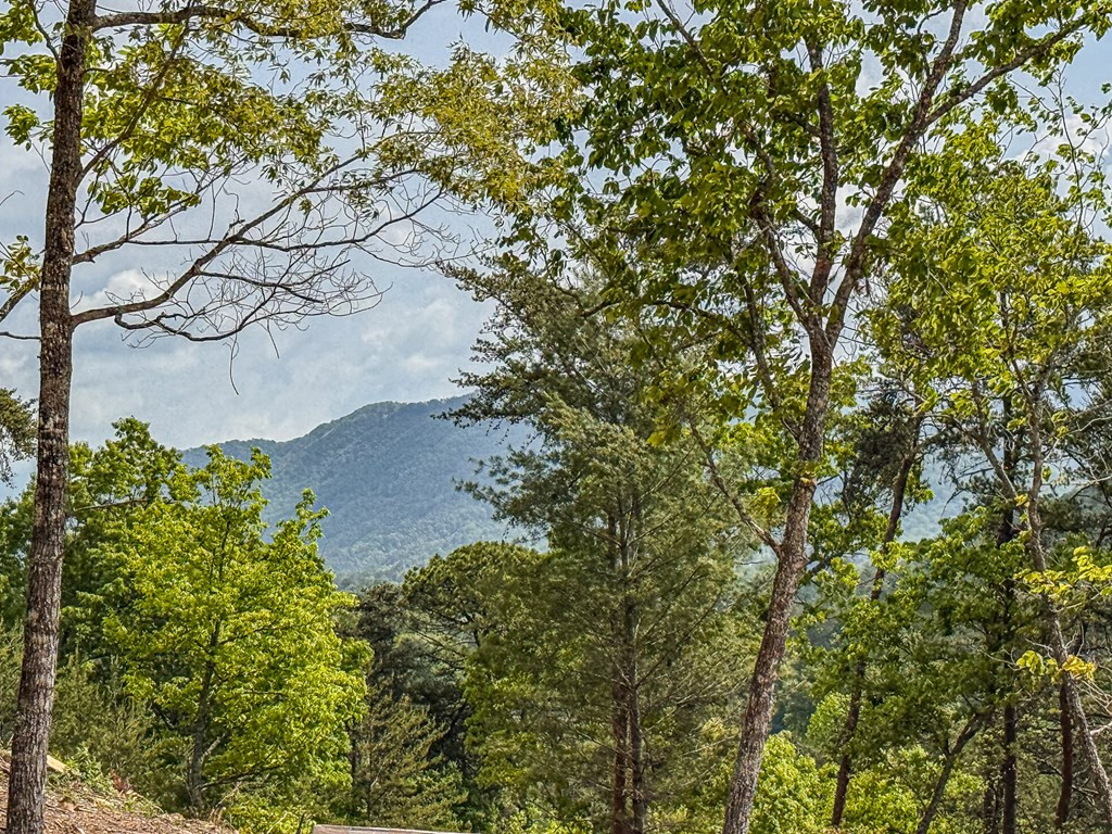 134 Mistletoe Ridge, Murphy, NC 28906 — photo 3