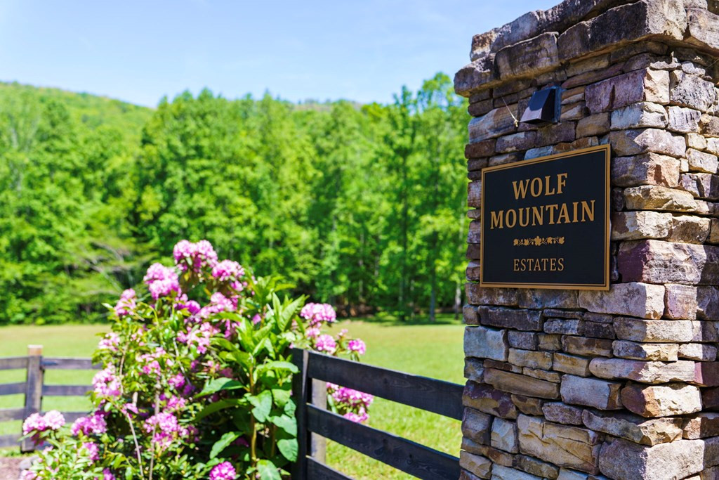 1115 Outlook Road, Murphy, NC 28906 — photo 3