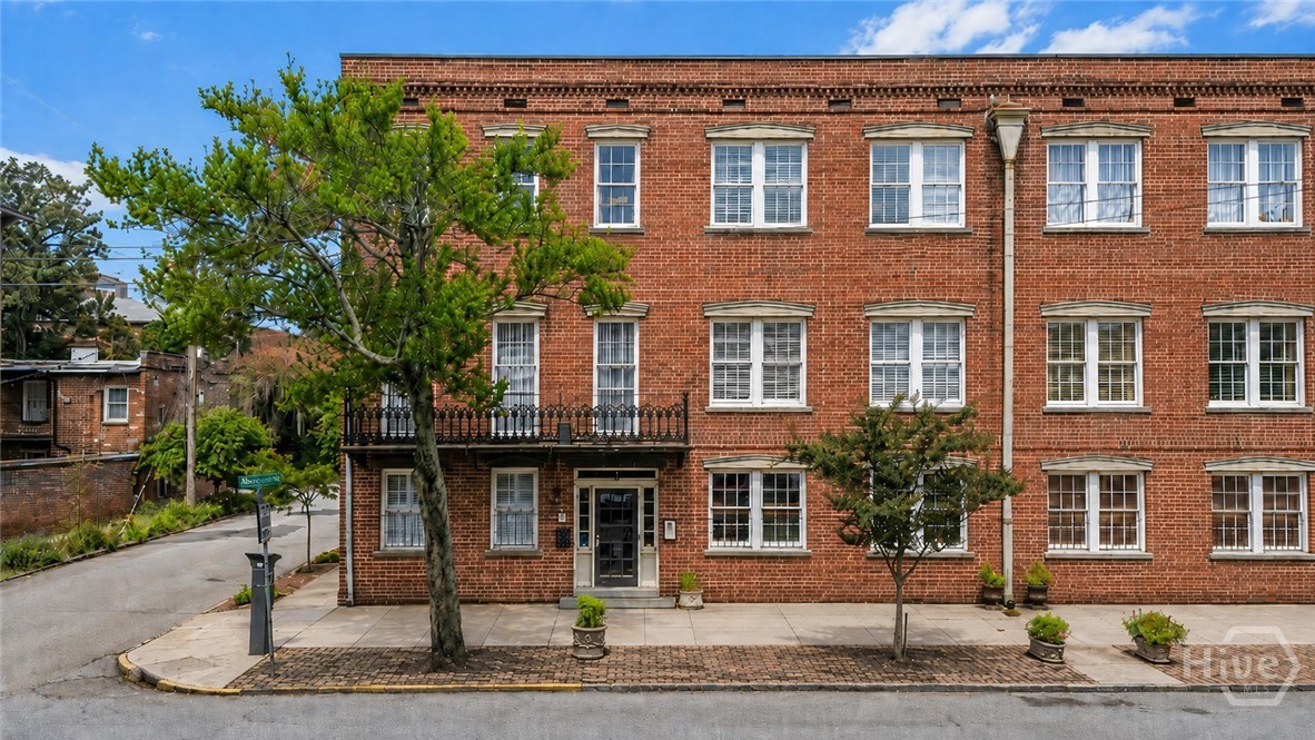 219 Abercorn Street D1 — photo
