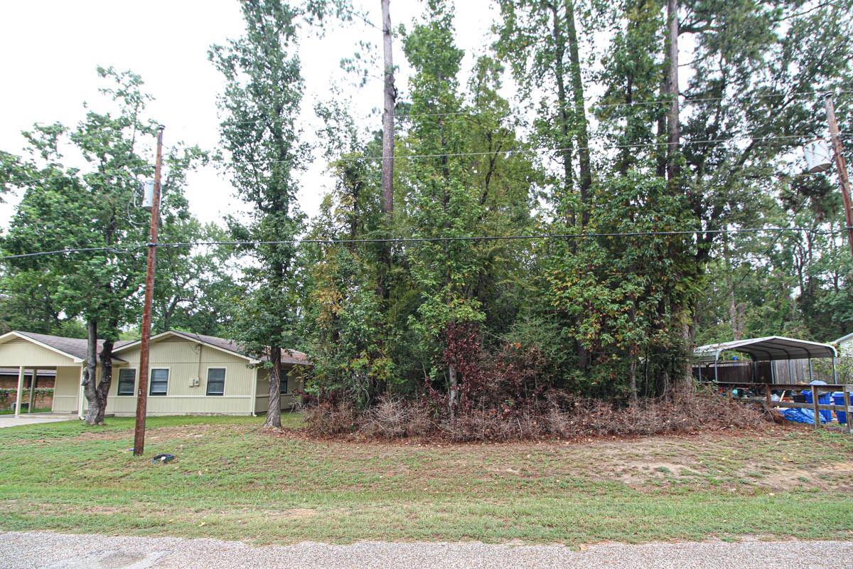 345 Cherokee Lane, Onalaska, TX 77360 — photo 2