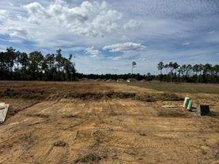 1728 Pecan Woods Lane — photo
