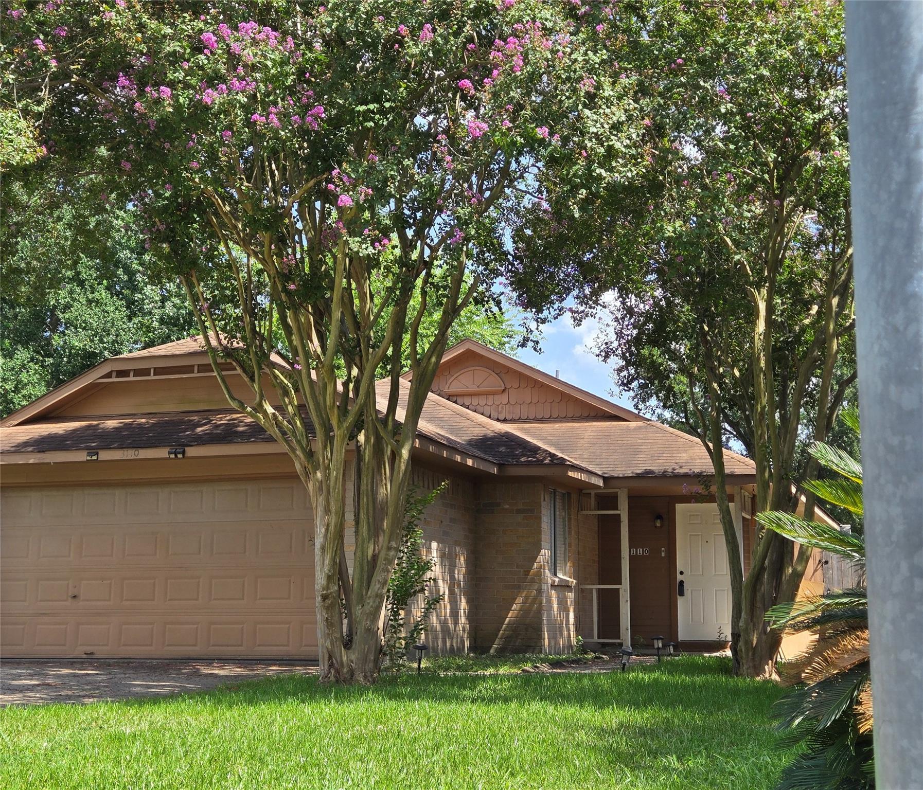 3110 Lorikeet Street — photo