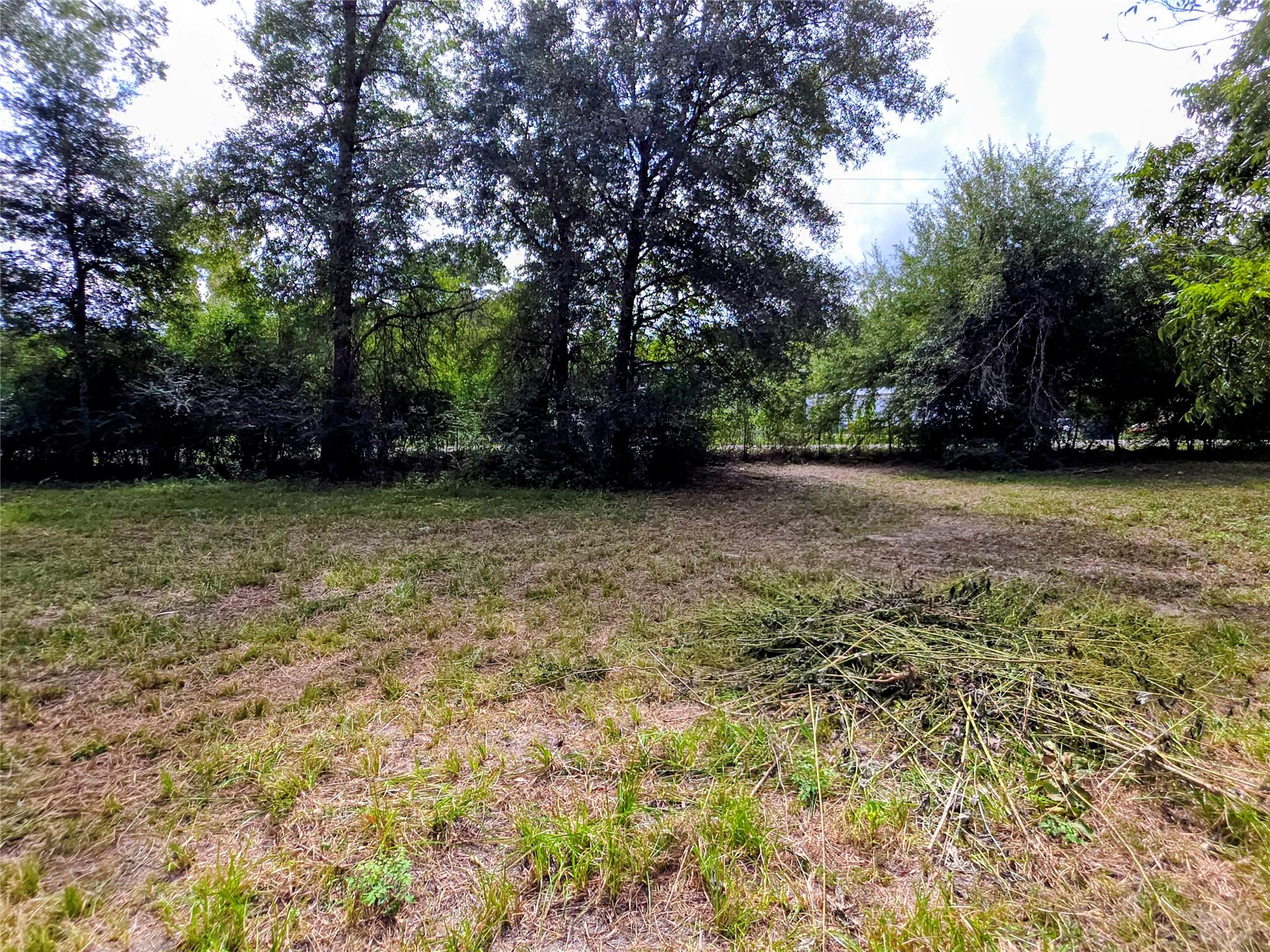 0 3rd Street, Batson, TX 77519 — photo 3