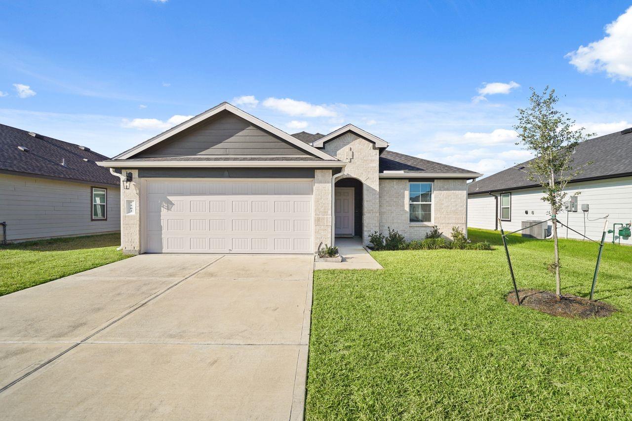 7502 Fierce Friesian Lane — photo