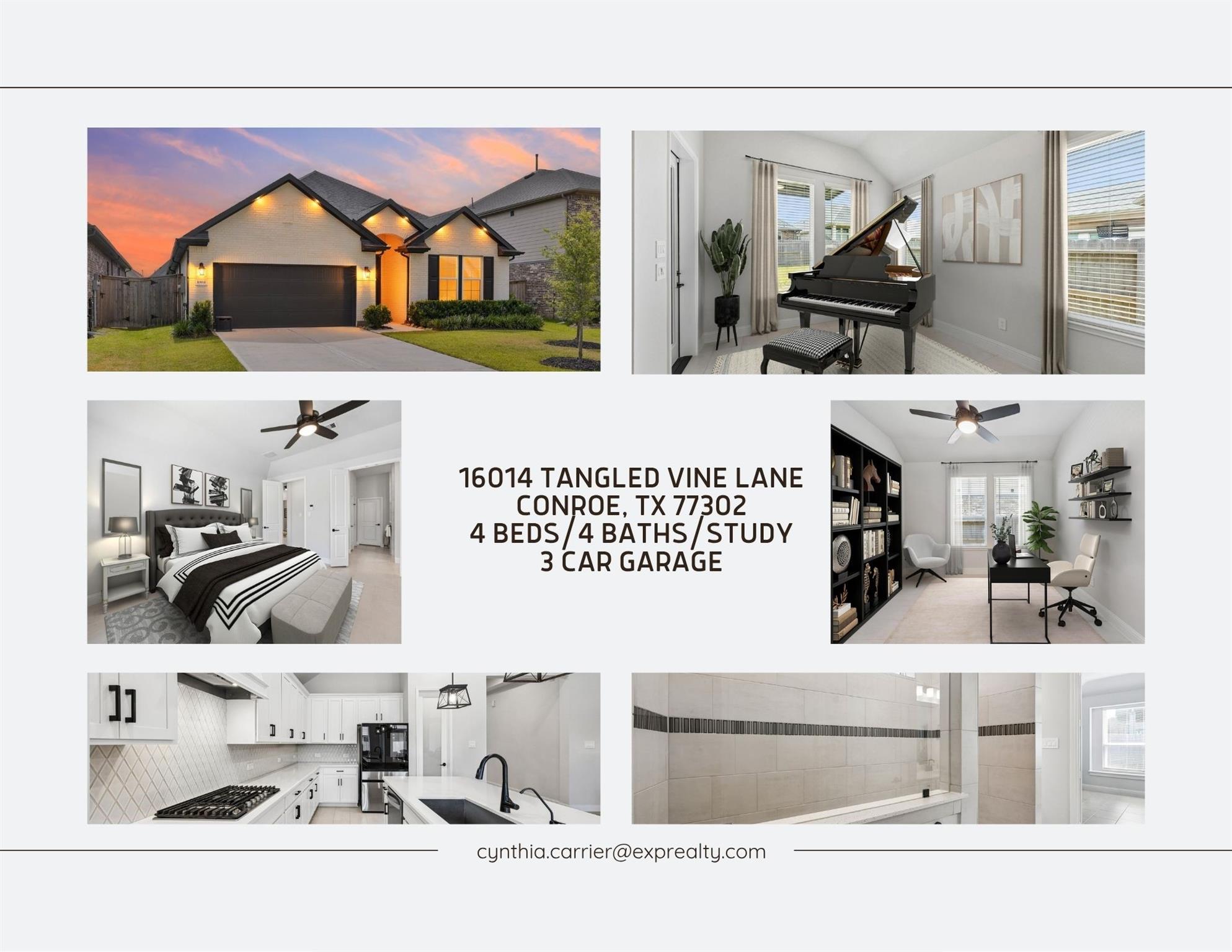 16014 Tangled Vine Lane — photo