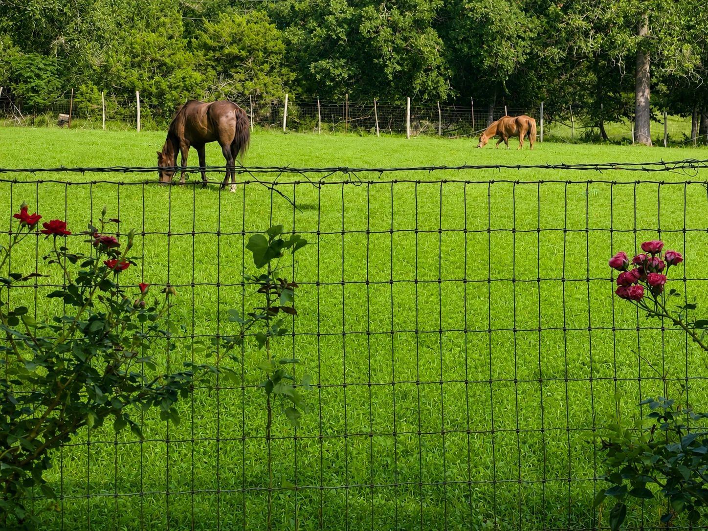 680 Stringtown Road, Medina, TX 78055 — photo 2