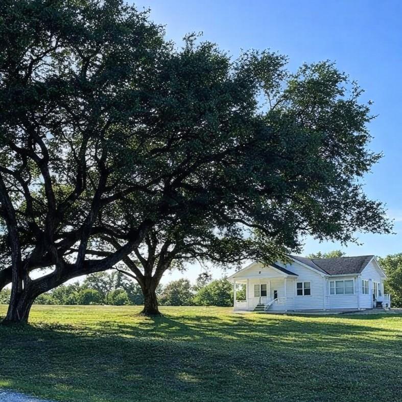 248 County Road 378 — photo